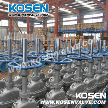 Cast Steel/Stainless Steel Through Conduit Gate Valves